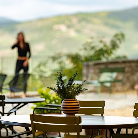 La Pensione Di Vignamaggio Panzano in Chianti Exterior photo