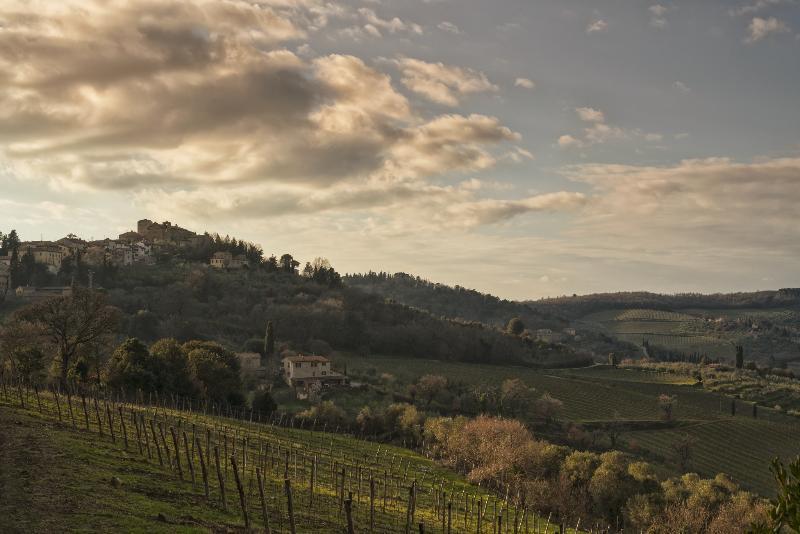 La Pensione Di Vignamaggio Panzano in Chianti Exterior photo